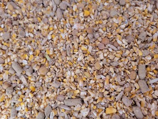 Close-up of the grain finisher mix (cracked corn, oats, legumes, pellets).jpg